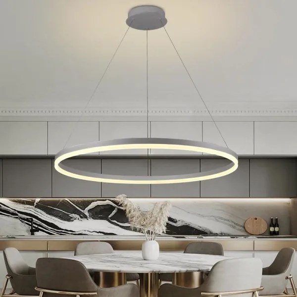 Lustră LED dimabilă pe cablu LED/55W/230V 3000-6500K + telecomandă