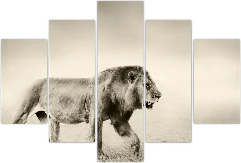 Tablou - Leul flămând (150x105 cm)