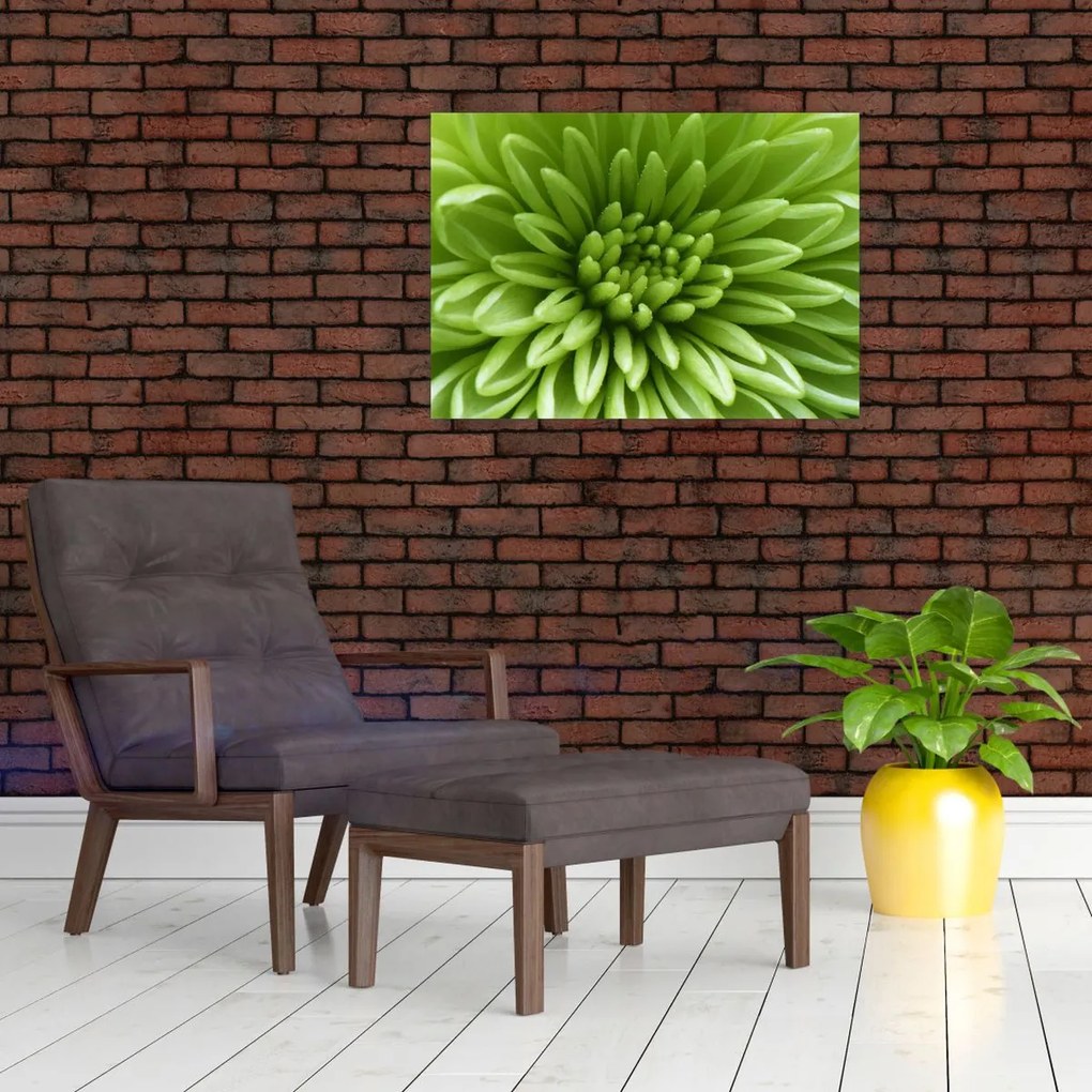 Tablou pe sticlă - Imagine macro a unei plante (70x50 cm)