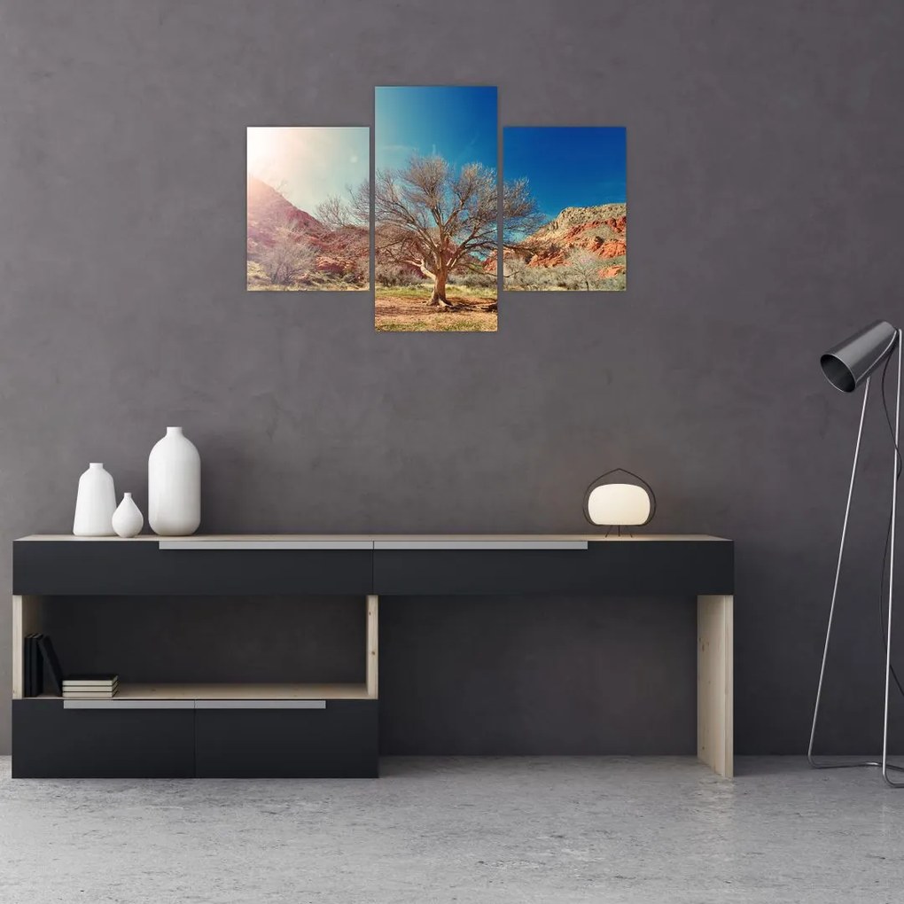 Tablou cu cu copac în deșert (90x60 cm)