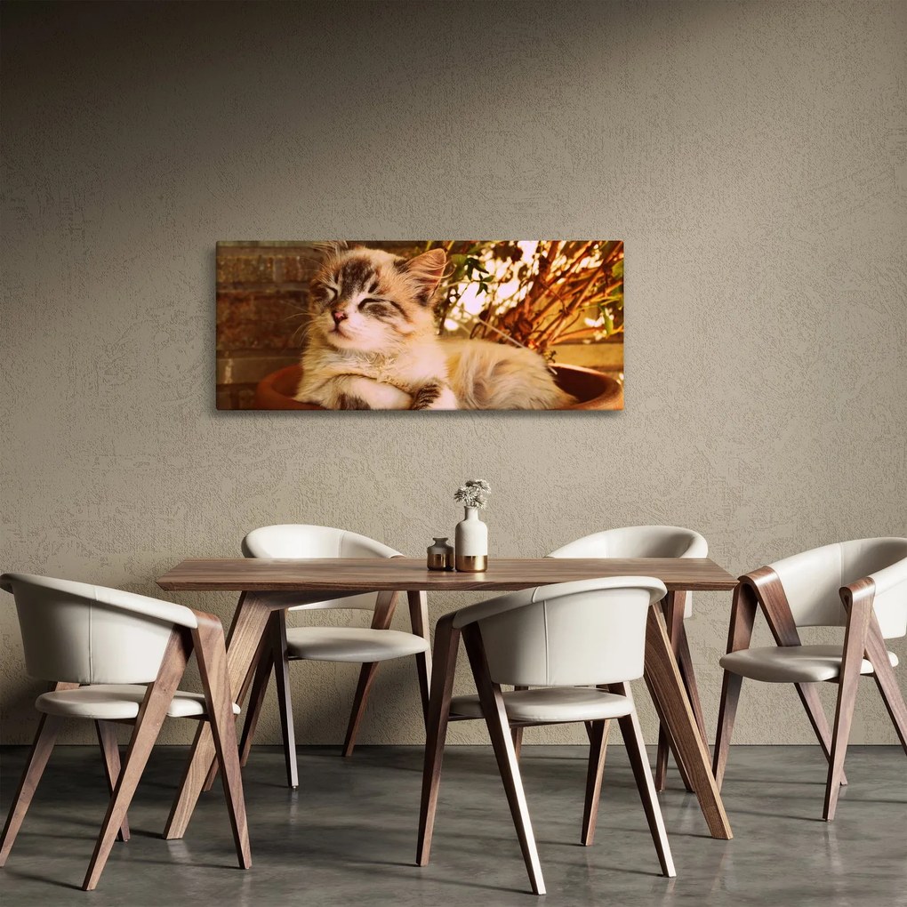 Tablou cu pisica în ghiveci (120x50 cm)