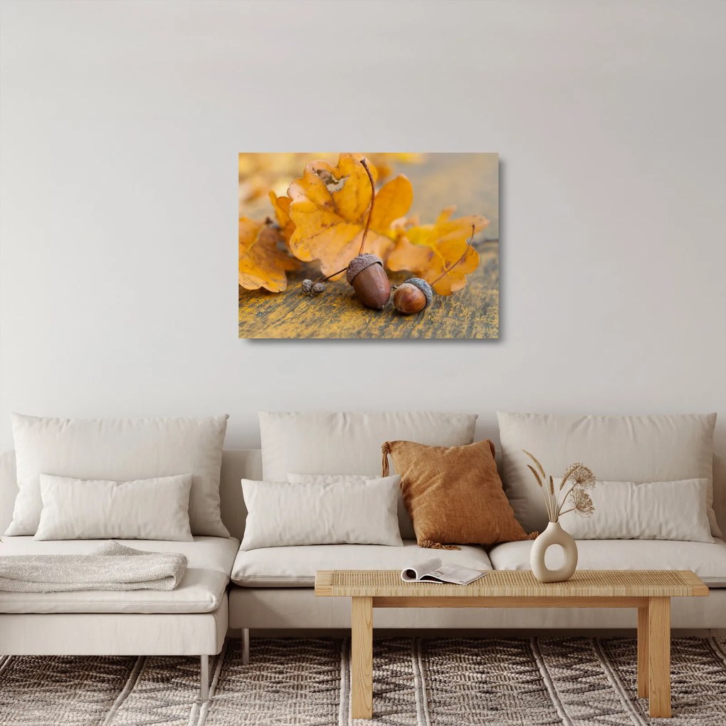 Tablou pe sticlă - Ghinde de toamnă (70x50 cm)
