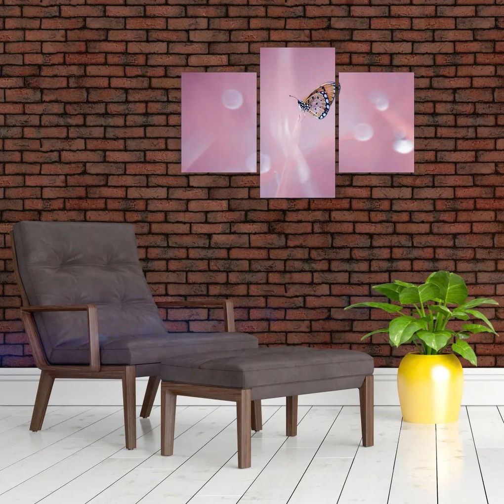 Tablou - Fluture (90x60 cm)