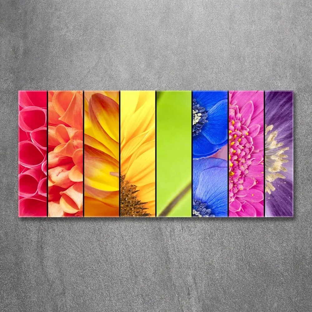 Tablou acrilic Flori colorate