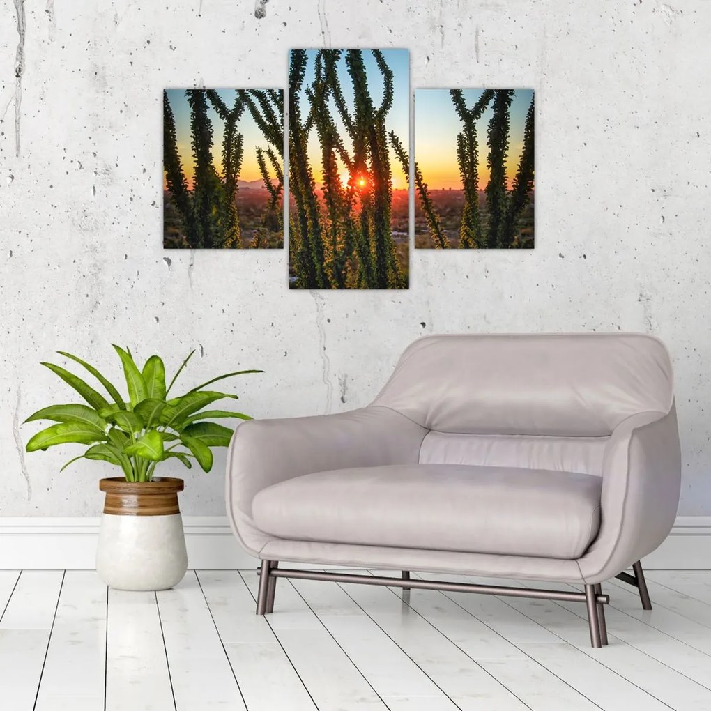 Tablou - Plante (90x60 cm)