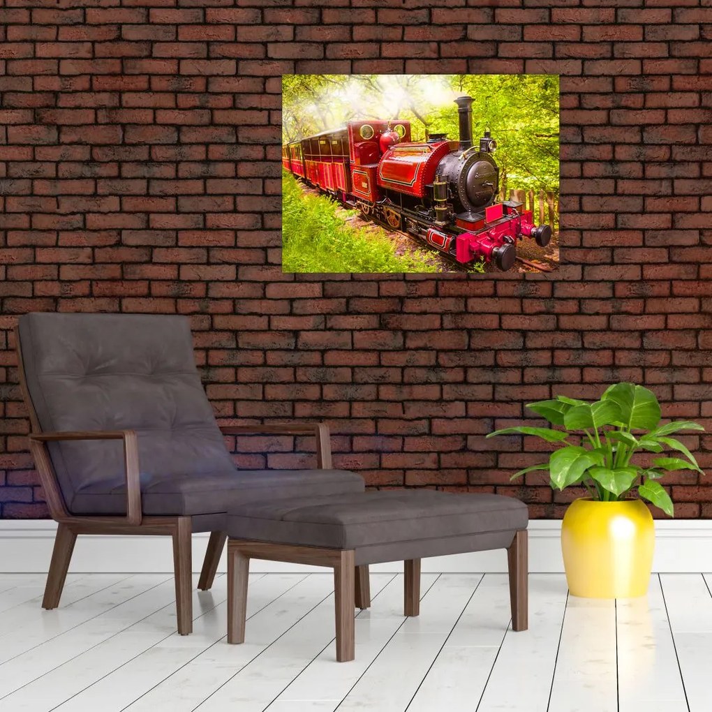 Tablou pe sticlă - Tren cu aburi (70x50 cm)