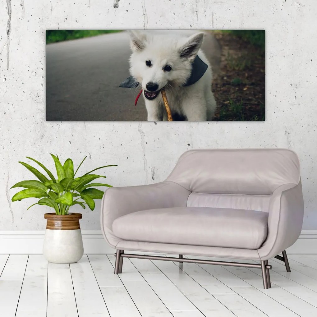 Tablou cu câinele alb (120x50 cm), în 40 de alte dimensiuni noi