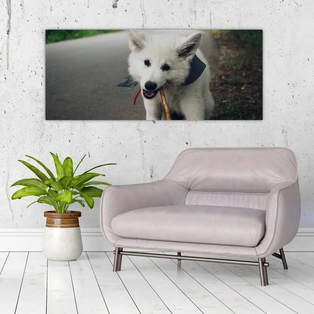 Tablou cu câinele alb (120x50 cm)