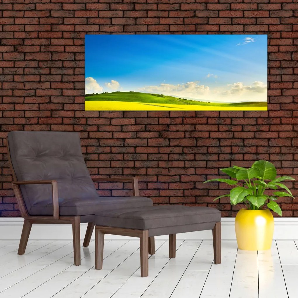 Tablou - Cerul de primăvară (120x50 cm)