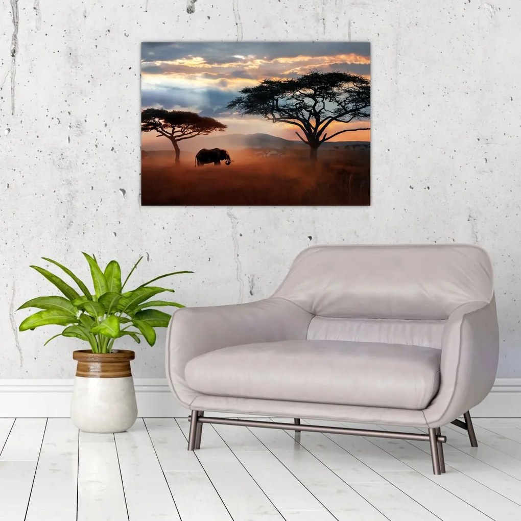 Tablou pe sticlă - Parcul Național Serengeti, Tanzania, Africa (70x50 cm)