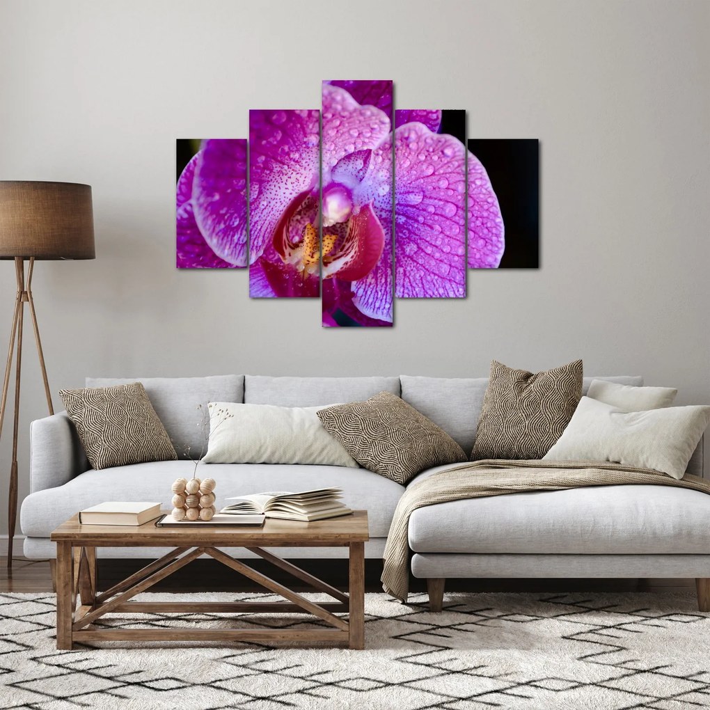 Tablou detailat cu floare de orhidee (150x105 cm)