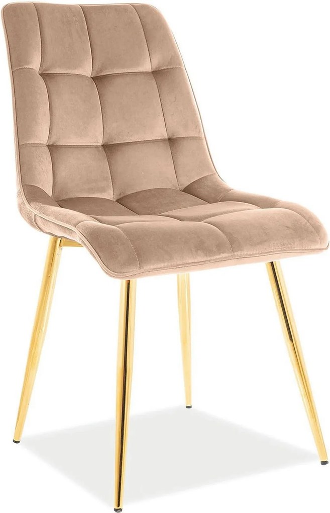 Scaun tapitat stofa CHIC, bej/auriu, 50x58x88 cm
