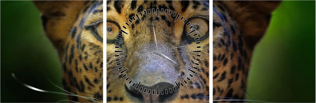 Tablou - Portretul leoparduslui, Sri Lanka (cu ceas) (90x30 cm)