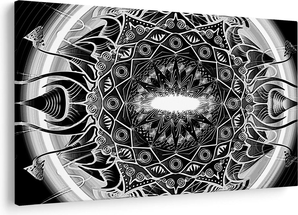 Tablou cu ornamente alb negre (90x60 cm)