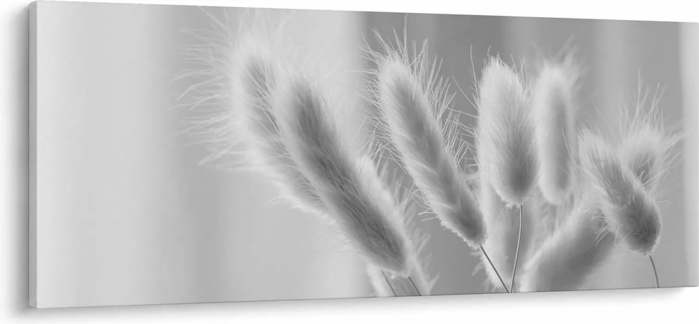 Tablou - Iarbă de coadă de iepure (120x50 cm)