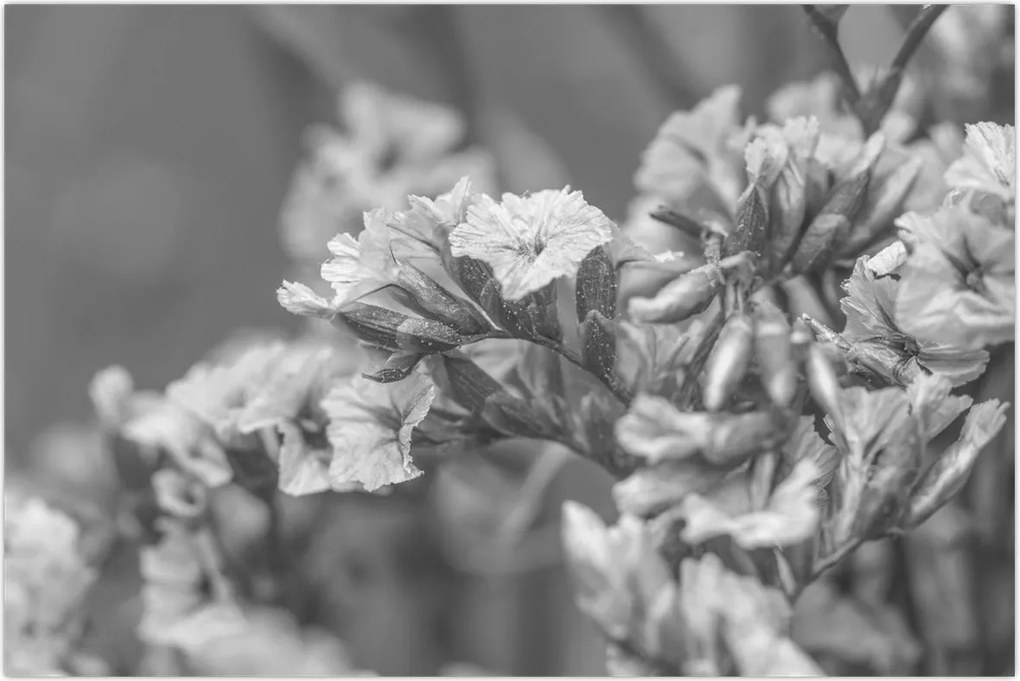 Tablou - Flori uscate (90x60 cm)