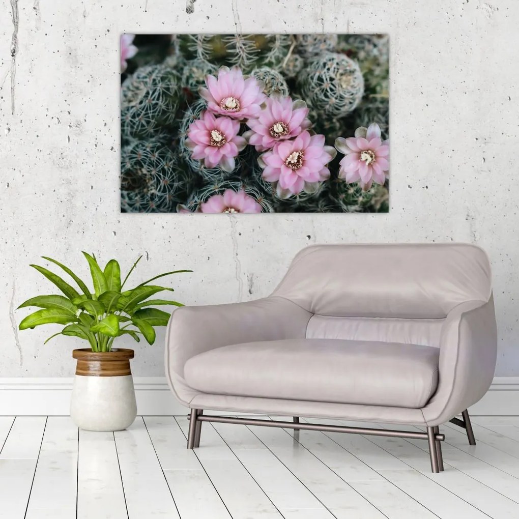 Tablou floare de cactus (90x60 cm)