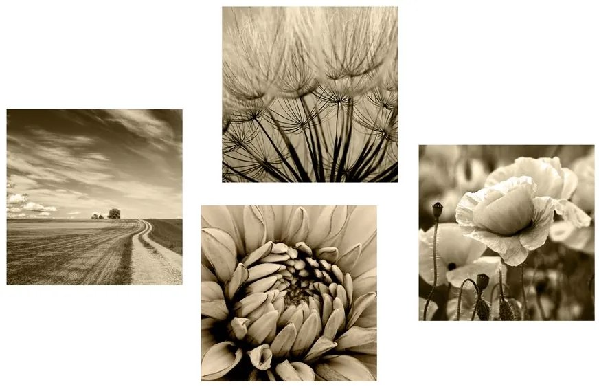 Set de tablouri câmp cu flori în design sepia