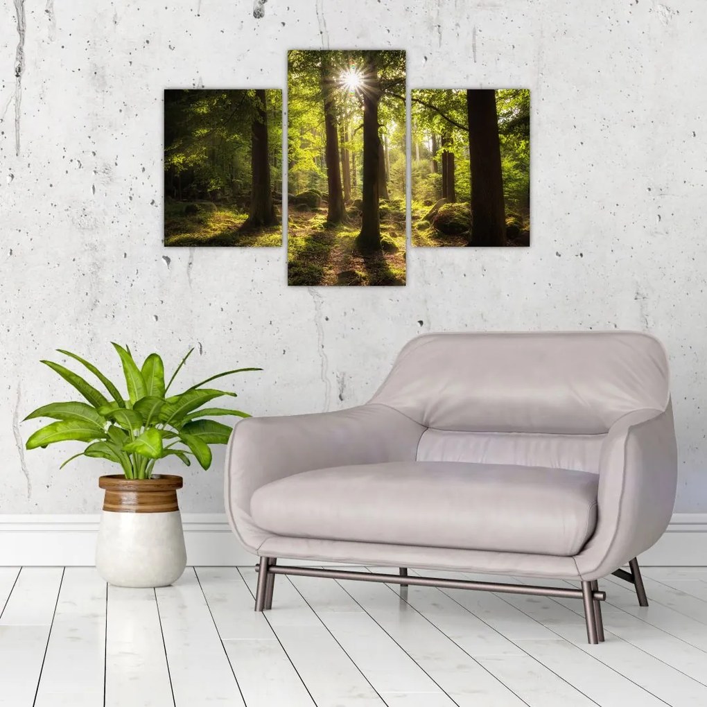 Tablou - Pădurea de vis (90x60 cm)