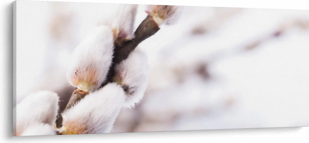 Tablou - Ramură (120x50 cm)