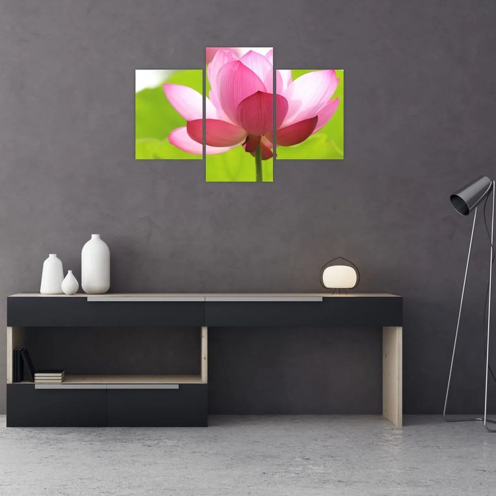 Tablou cu flori de lotus (90x60 cm)
