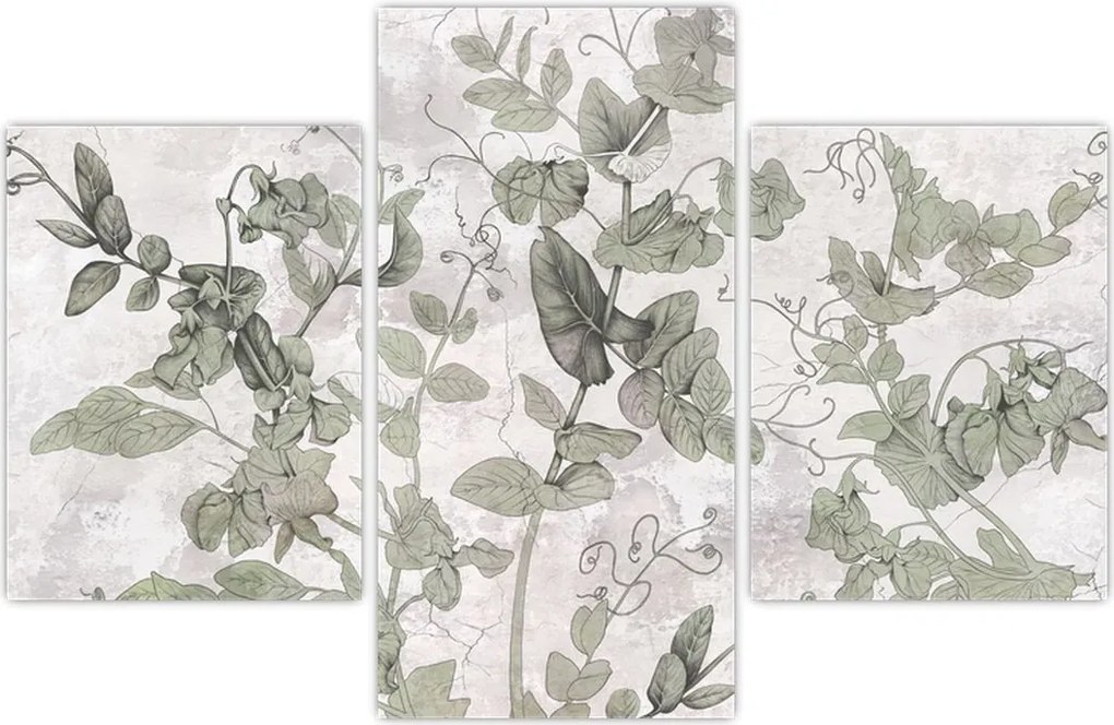 Tablou - Plante in ipsos (90x60 cm)