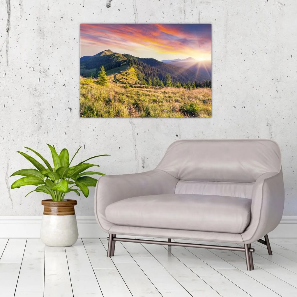 Tablou - Peisaj forestier (70x50 cm)