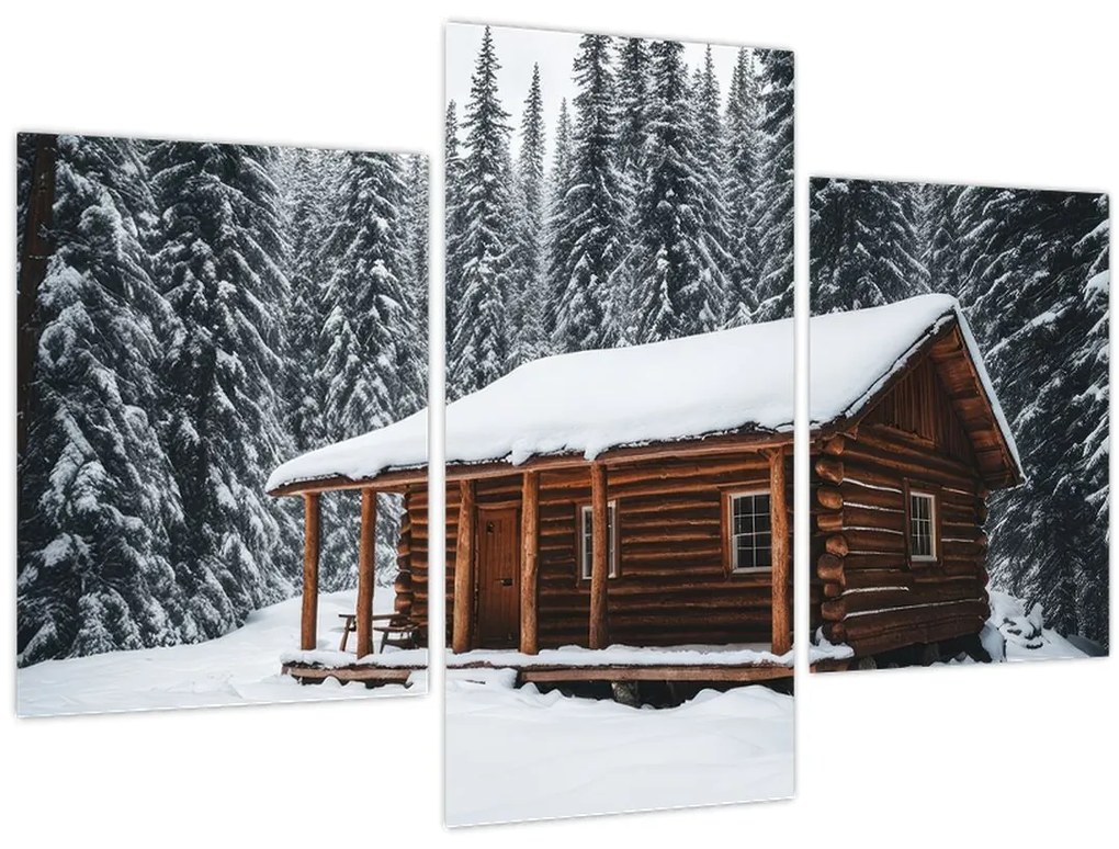 Tablou - Cabană acoperită de zăpadă (90x60 cm)