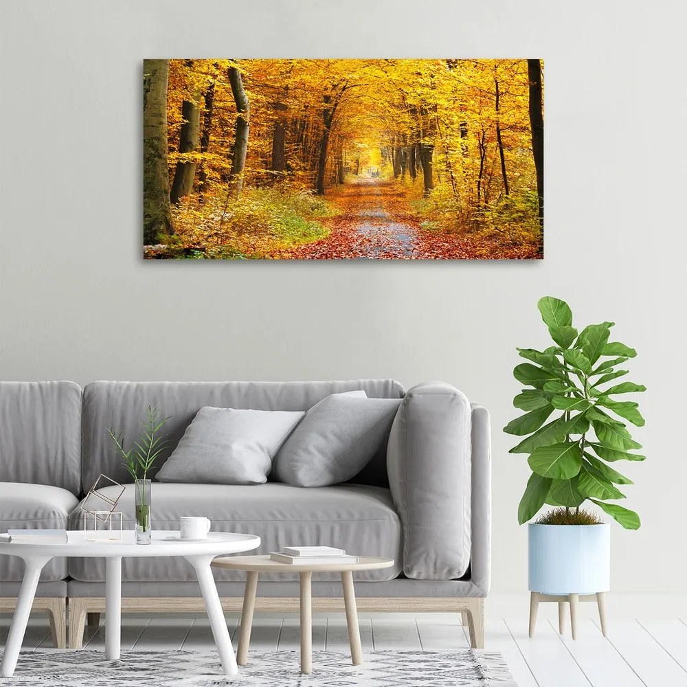 Tablou canvas Pădure în toamna