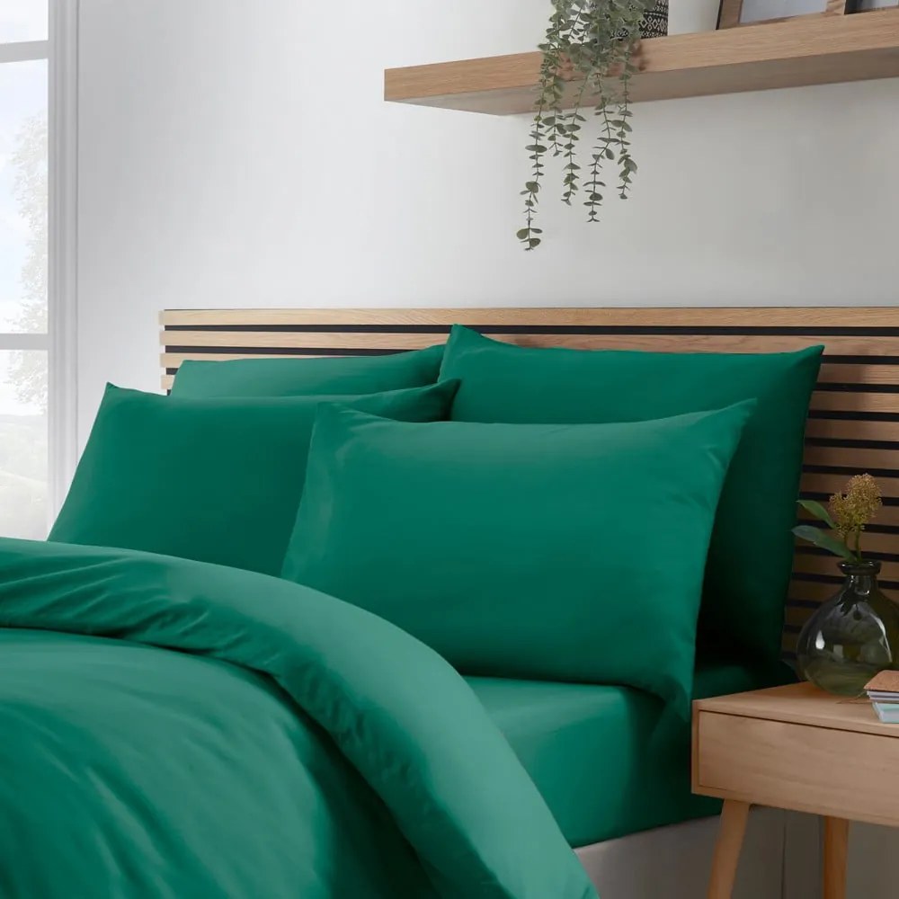 Fețe de pernă 4 buc. 75x50 cm So Soft Non-Iron – Catherine Lansfield