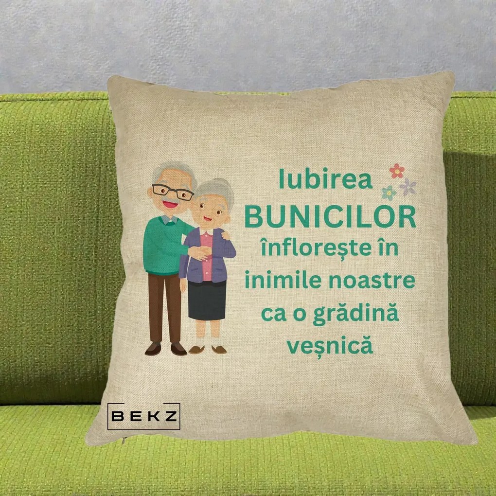 Cadou pentru Bunici - Perna Personalizata Bunicii Iubirea Infloreste Cuplu Senior Teal, 40x40 cm, Crem, Husa Detasabila, Perna Inclusa, BEKZ®