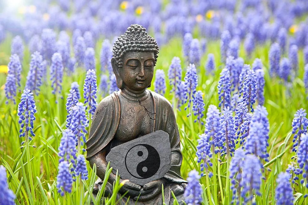Fototapet yin și yang Budha