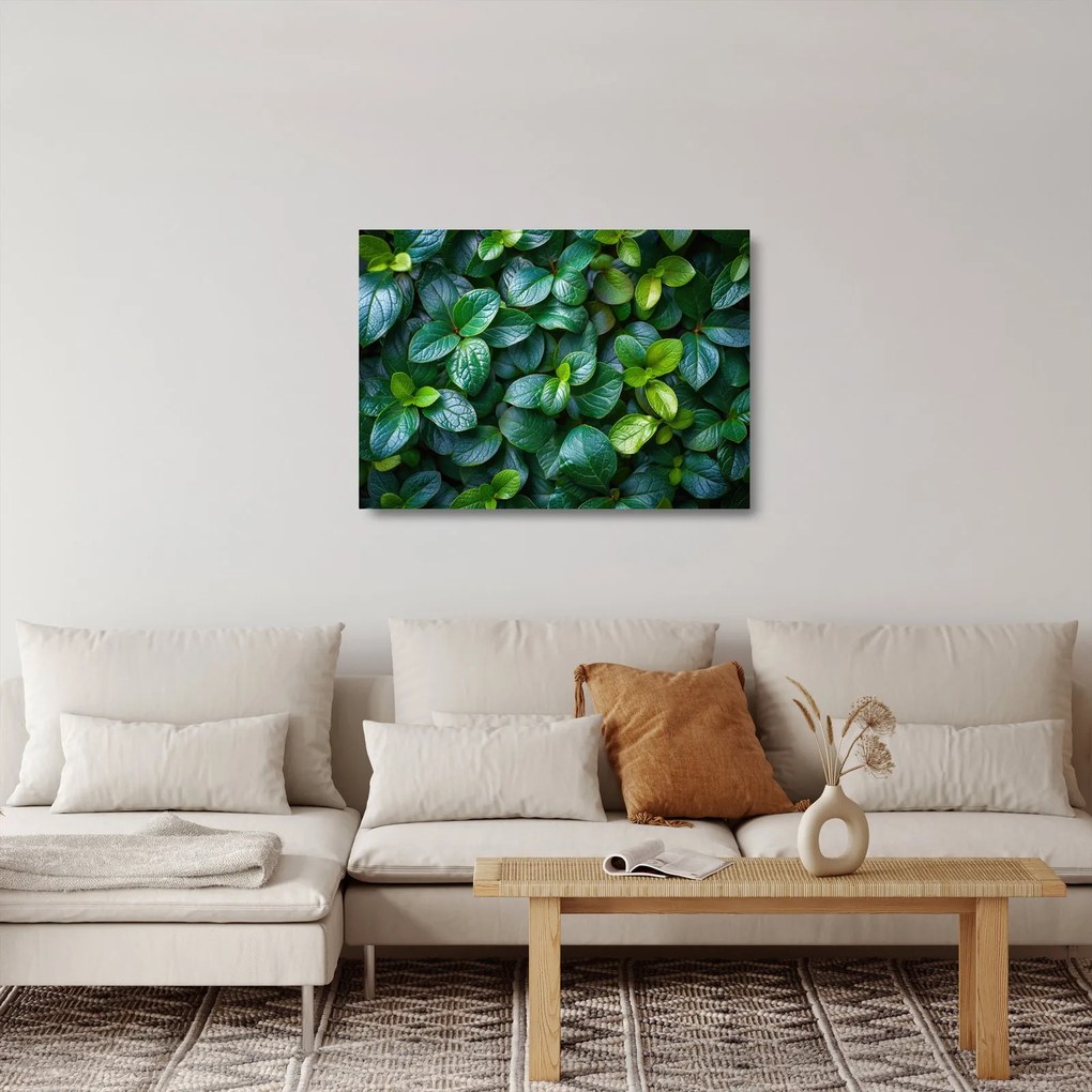 Tablou pe sticlă - Plante verzi (70x50 cm)