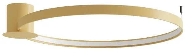 Plafonieră LED RIO LED/50W/230V CRI90 3000K d. 78 cm auriu Thoro TH.224