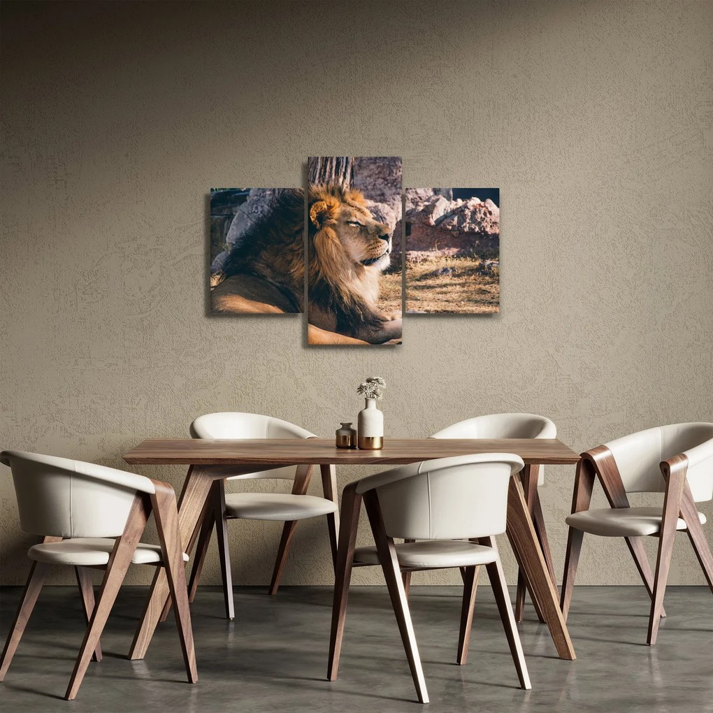 Tablou cu leul dormind (90x60 cm)