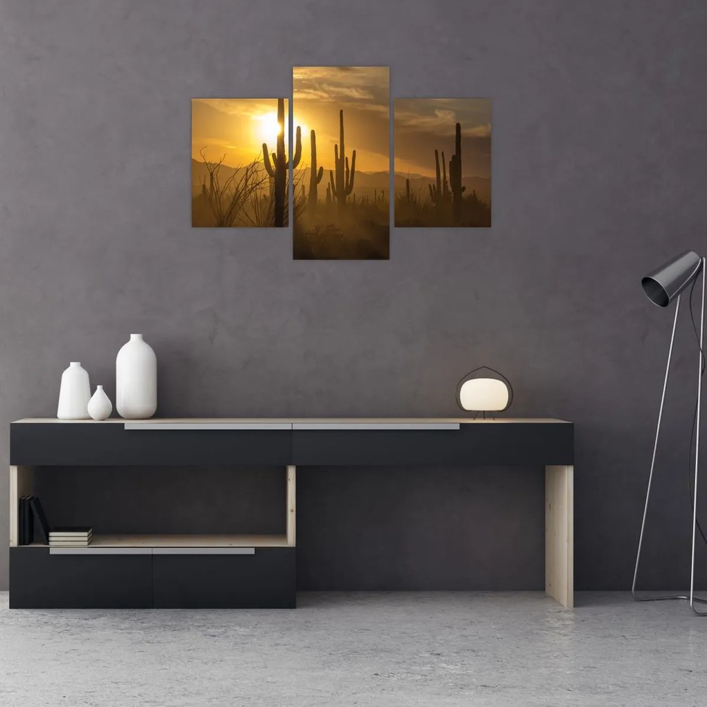 Tablou - Cactuși Saguaro (90x60 cm)