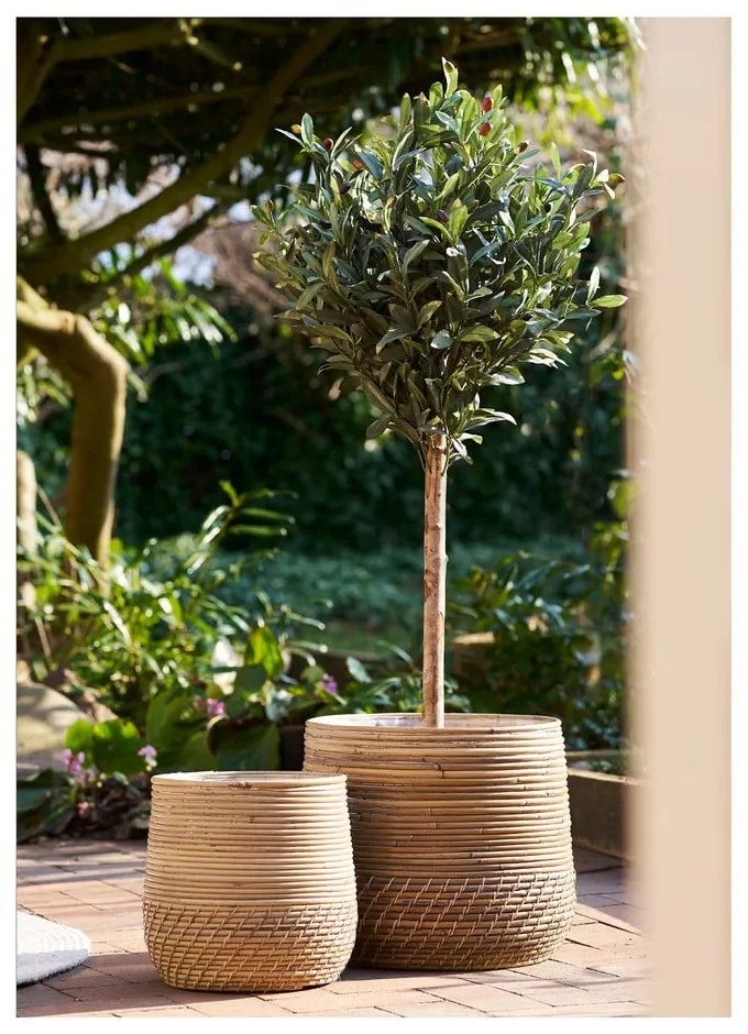 Coșuri de depozitare 2 buc. din ratan ø 39x35 cm Moro – House Nordic