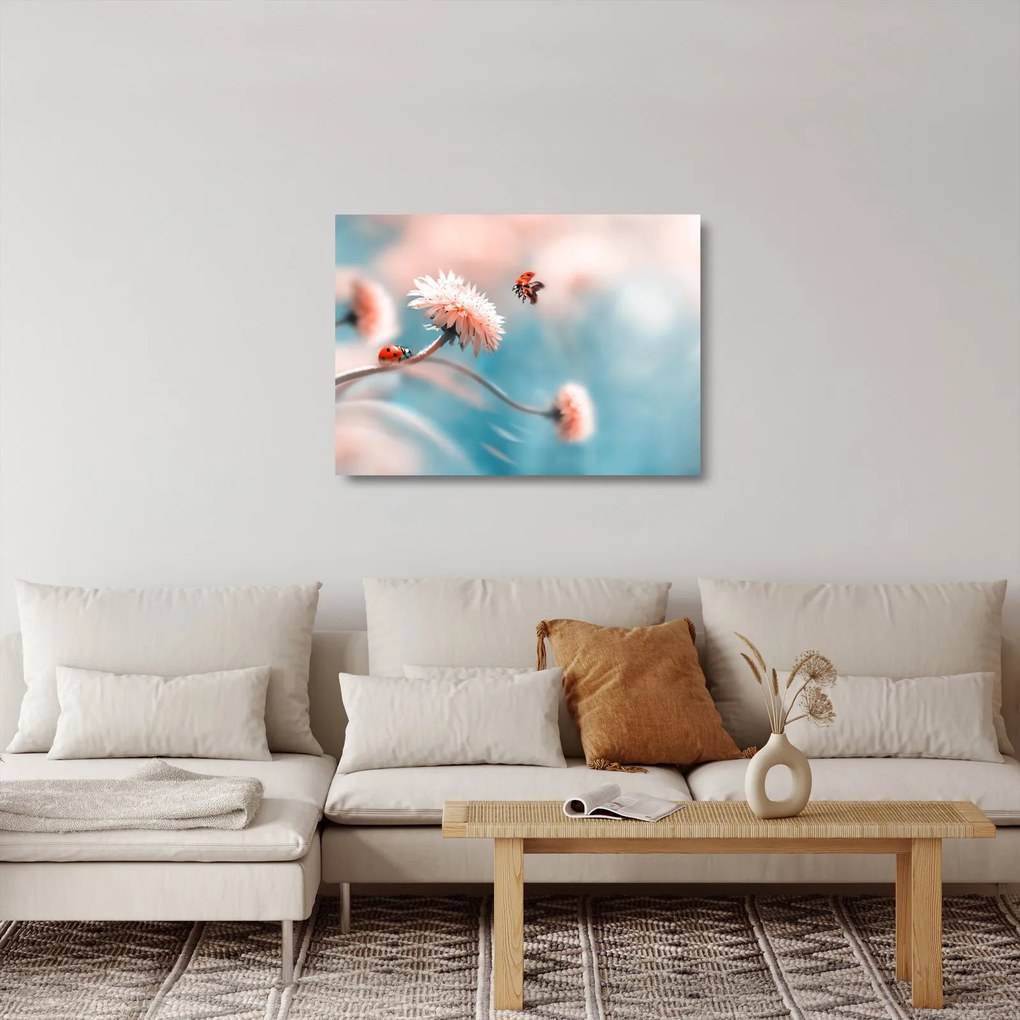 Tablou pe sticlă - Buburuze pe floare (70x50 cm)