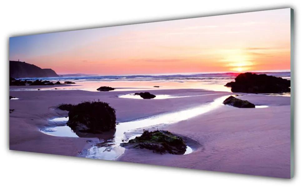 Tablouri acrilice Plaja Peisaj Purple