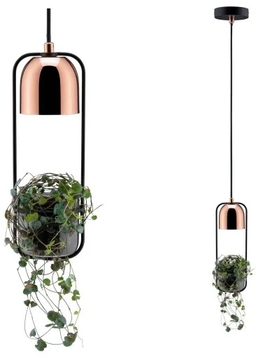 Lustră pe cablu Paulmann 79749 1xGU10/20W FANJA 230V