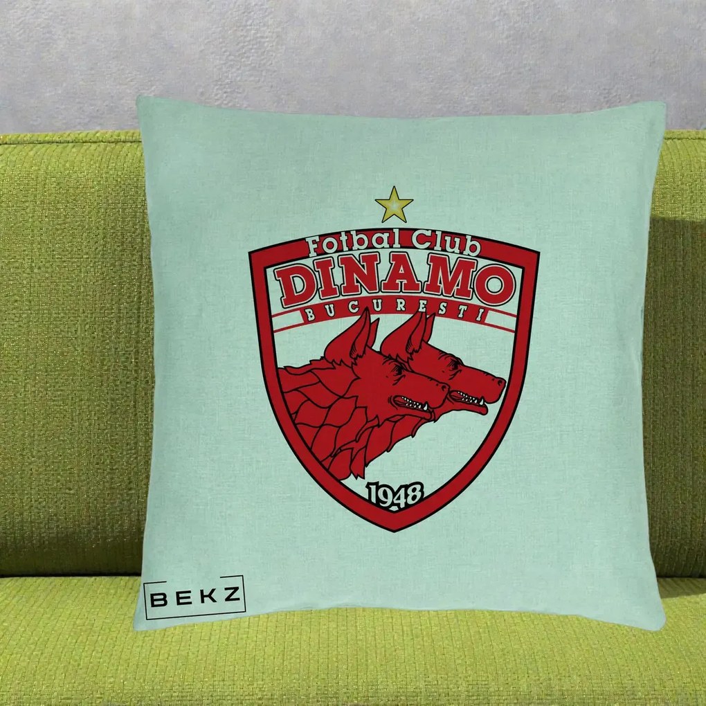 Perna Personalizata FC Dinamo Bucuresti 1948 Fotbal, 40x40 cm, Verde Menta, Husa Detasabila, Perna Inclusa, BEKZ®