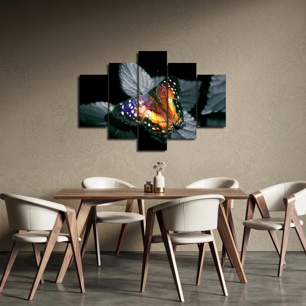 Tablou cu fluture (150x105 cm)
