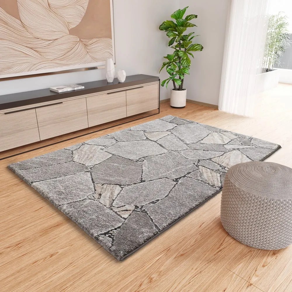 Covor gri 160x230 cm Kivet – Universal