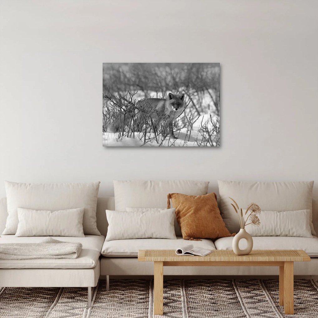 Tablou - Vulpe în timpul iernii (70x50 cm)