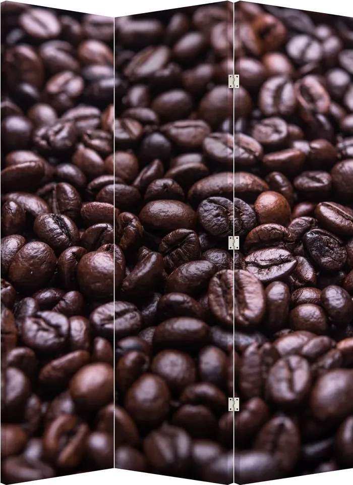Paravan - Boabe de cafea (126x170 cm)