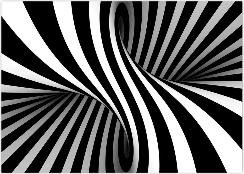 Tablou abstract cu dungi de zebră (70x50 cm)