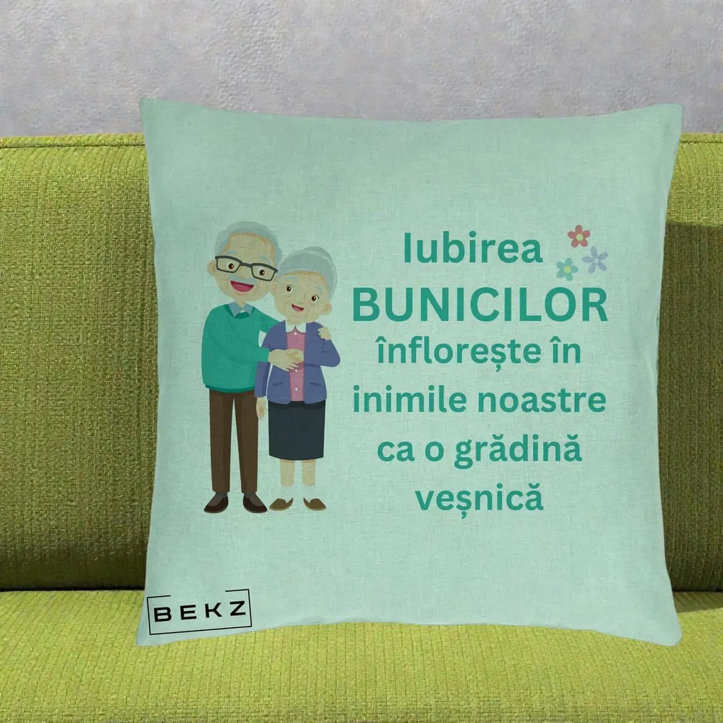 Cadou pentru Bunici - Perna Personalizata Bunicii Iubirea Infloreste Cuplu Senior Teal, 40x40 cm, Verde Menta, Husa Detasabila, Perna Inclusa, BEKZ®