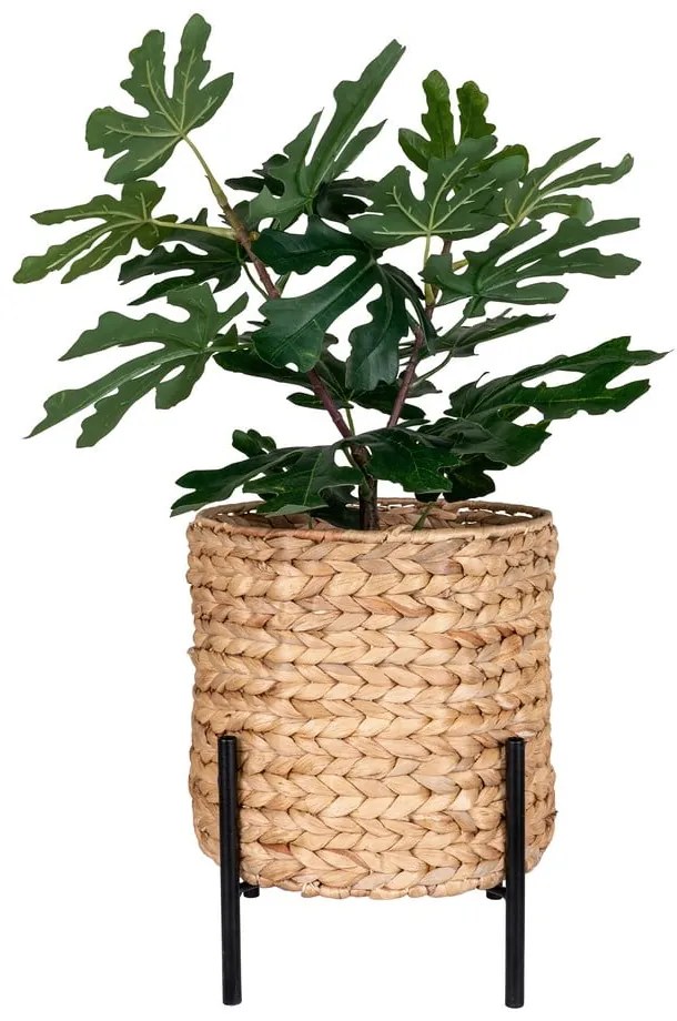 Ghiveci din zambilă de apă ø 24 cm Antas – House Nordic