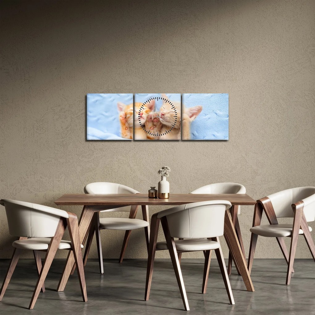 Tablou - Pisicuțe adormite (cu ceas) (90x30 cm)