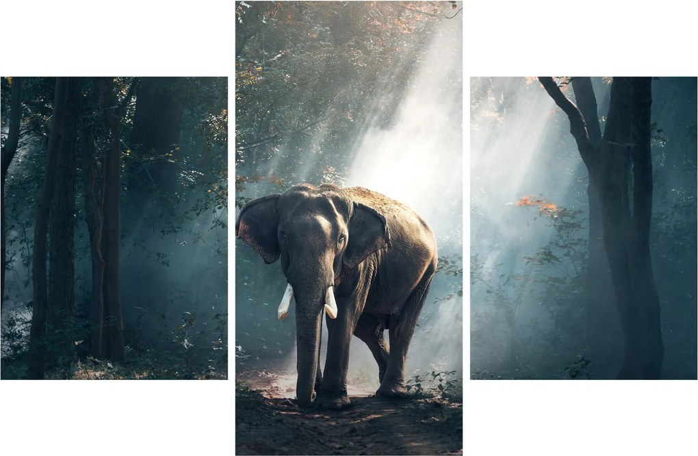 Tablou cu elefant în djunglă (90x60 cm)
